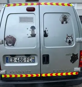 arrière véhicule de transport d'animaux